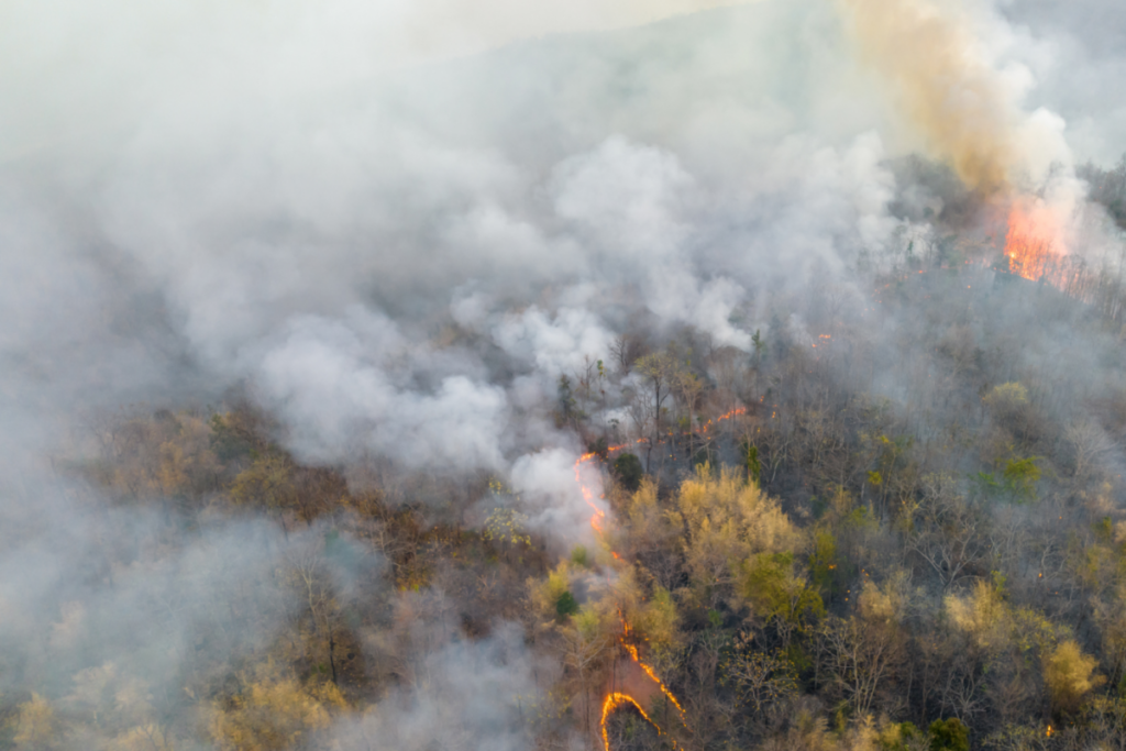 wildfire smoke